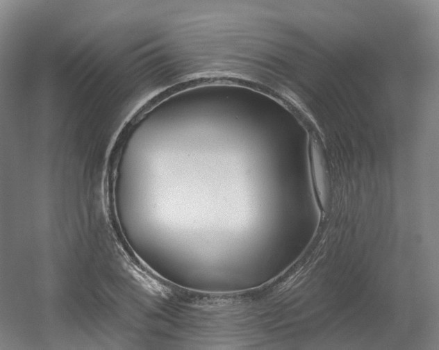 X0000054361076200508051523