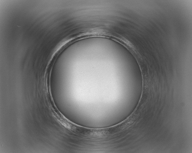X0000054361078200508051523