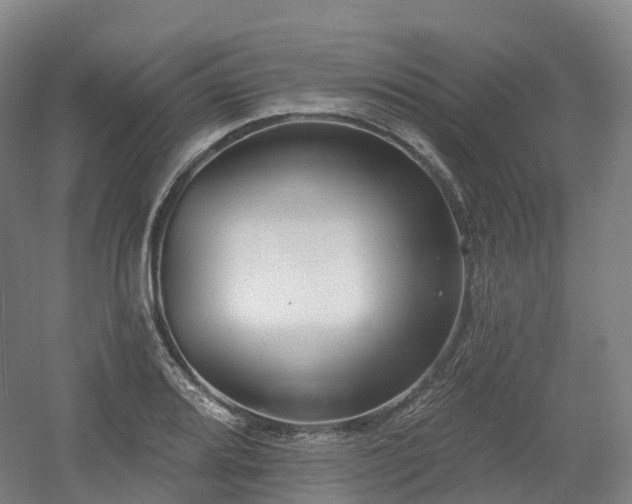 X0000054361080200508051523