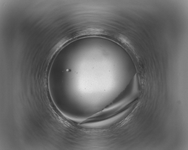 X0000054361081200508051523