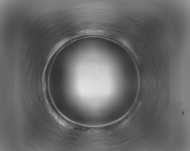 X0000054361082200508051523
