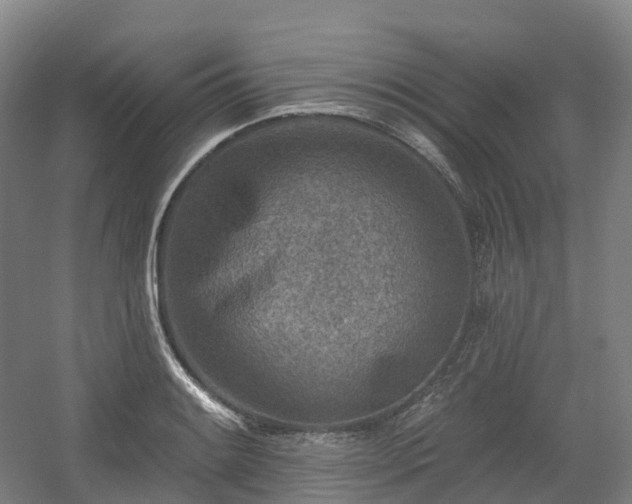 X0000054361084200508051523