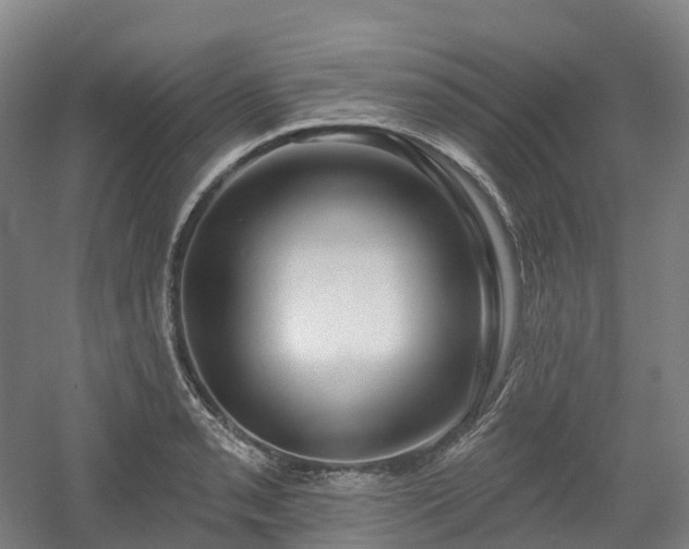 X0000054361085200508051523