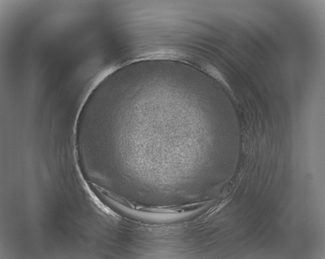 X0000054361087200508051523