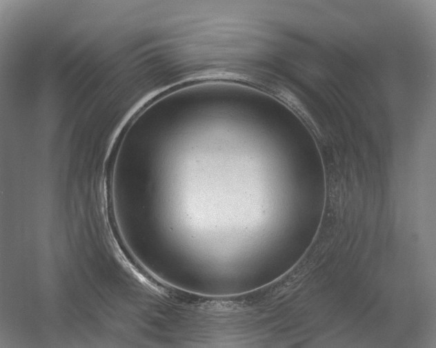 X0000054361092200508051523