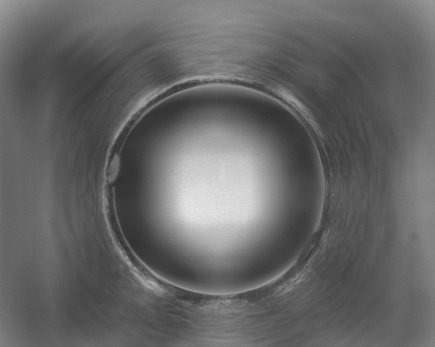 X0000054361093200508051523