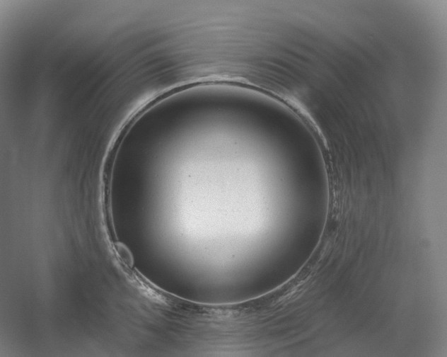 X0000054361096200508051523
