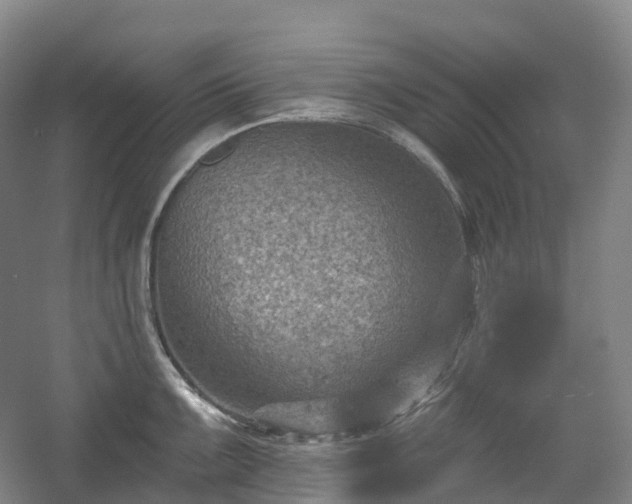 X0000054361099200508051522