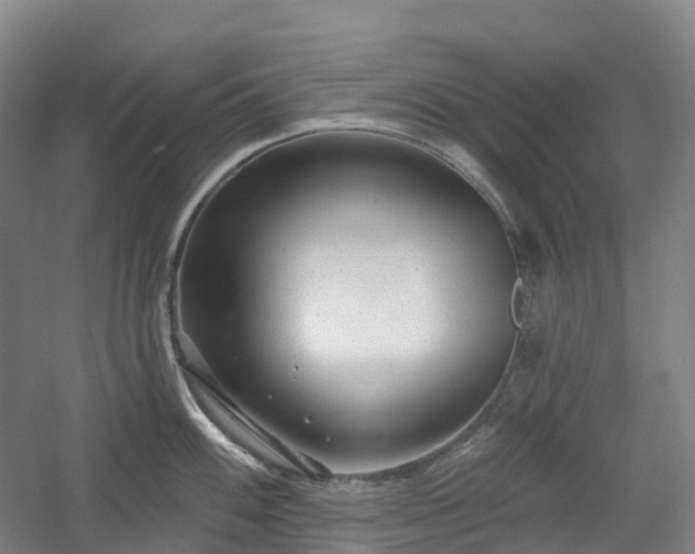 X0000054361100200508051522