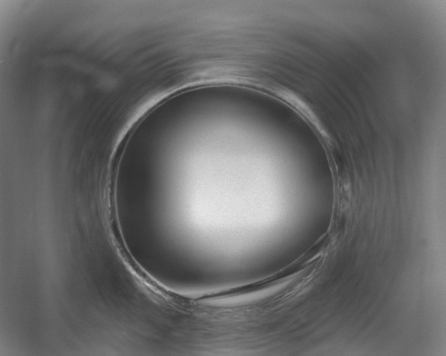 X0000054361101200508051522
