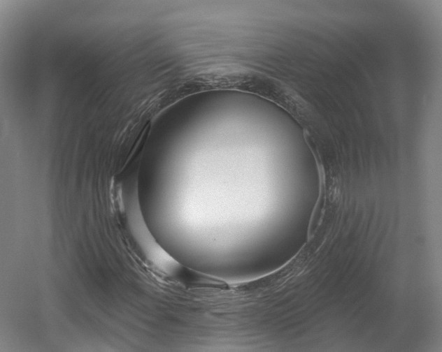 X0000054361108200508051522