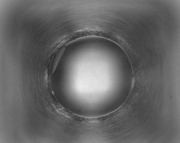 X0000054361110200508051522