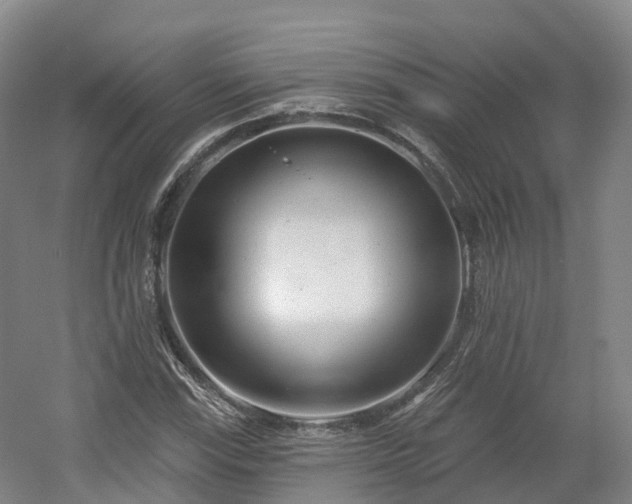 X0000054361115200508051522