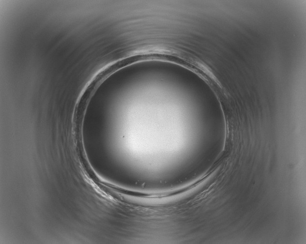 X0000054361116200508051522