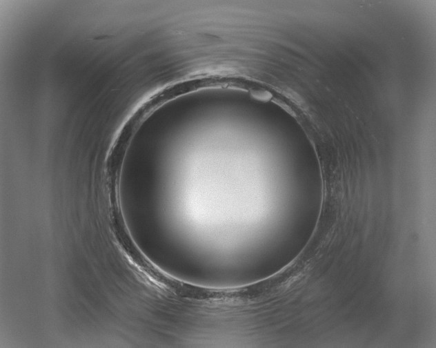 X0000054361118200508051522