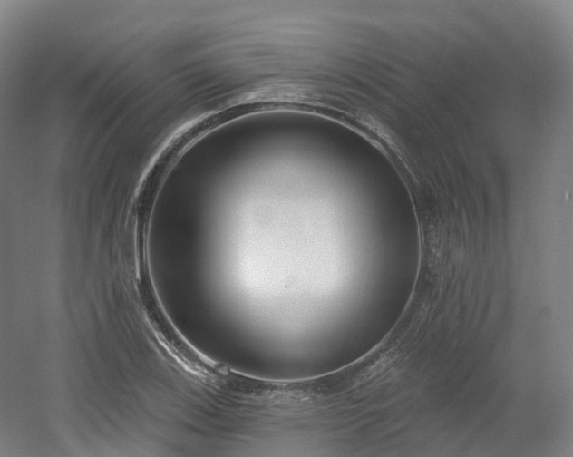 X0000054361123200508051522