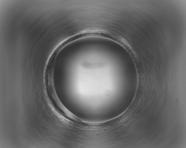 X0000054361124200508051522