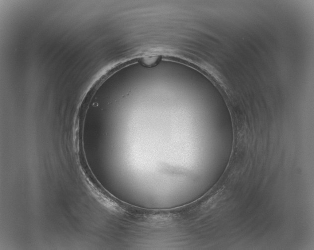 X0000054361126200508051522