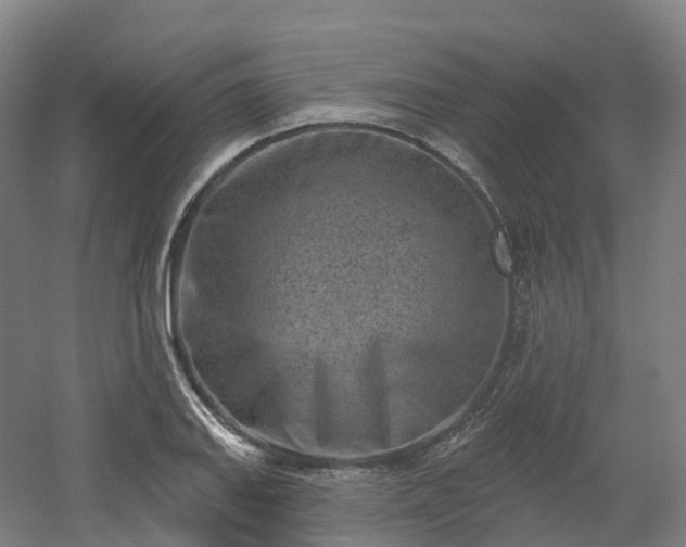 X0000054361127200508051522