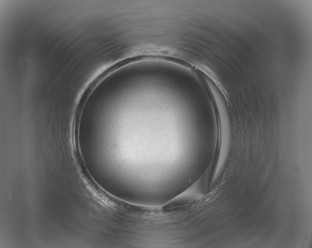 X0000054361128200508051522