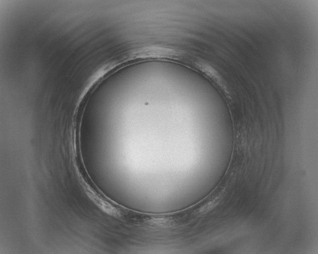 X0000054361130200508051522
