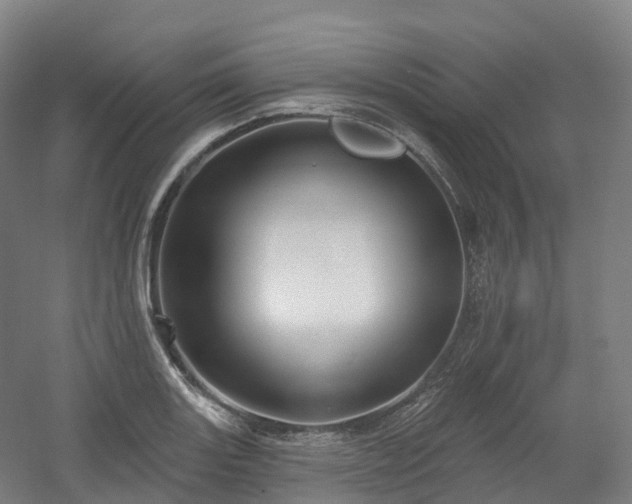 X0000054361131200508051522