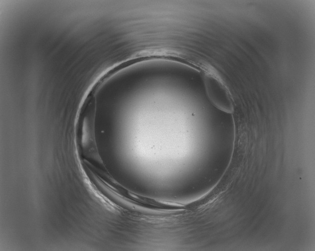 X0000054361132200508051522