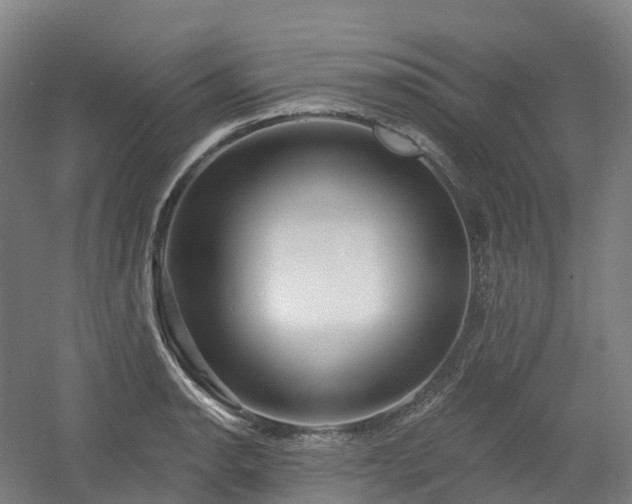 X0000054361134200508051522