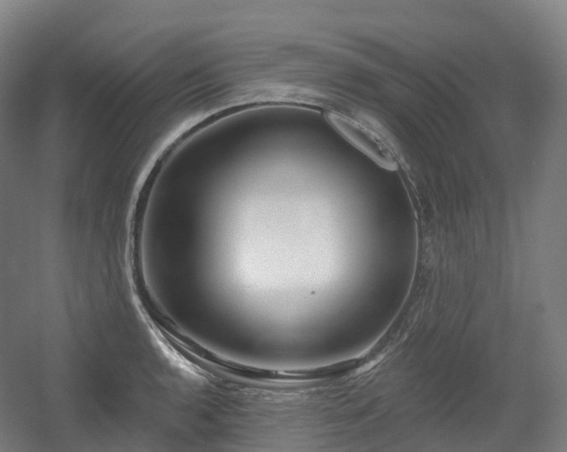 X0000054361136200508051522
