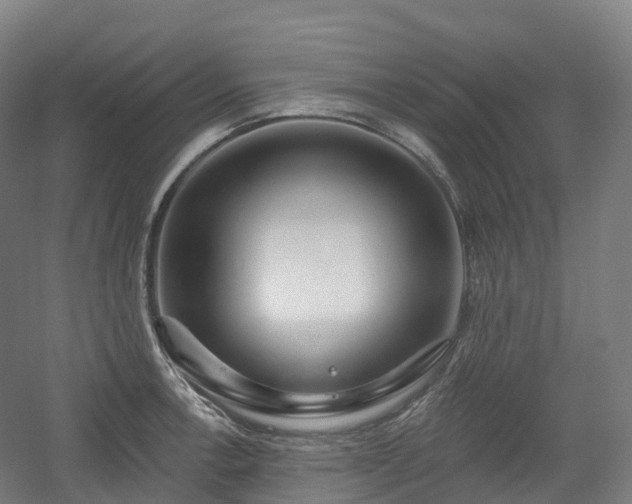 X0000054361138200508051522