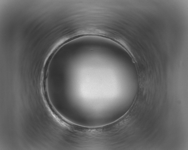 X0000054361139200508051522