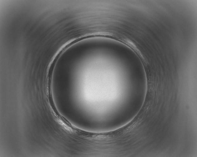 X0000054361140200508051522