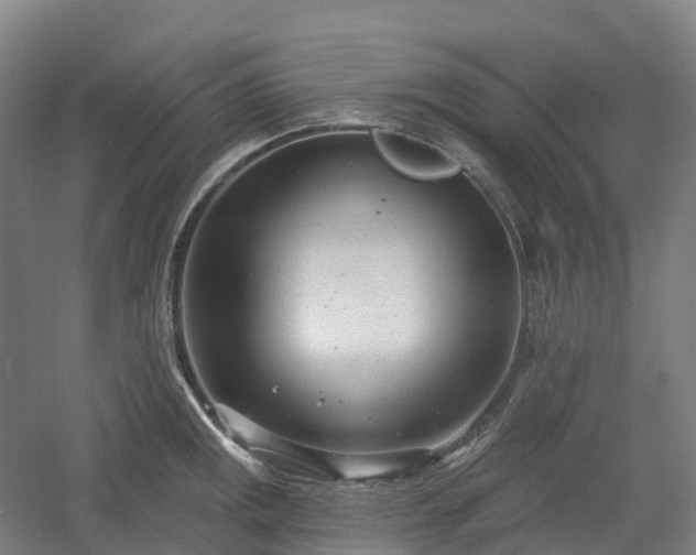 X0000054361141200508051522