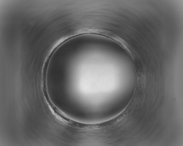 X0000054361143200508051522