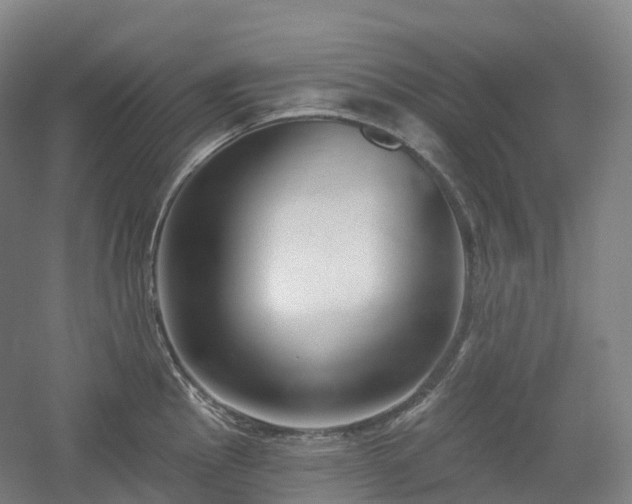 X0000054361145200508051522