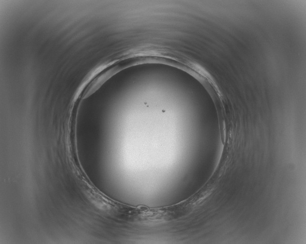 X0000054361146200508051522