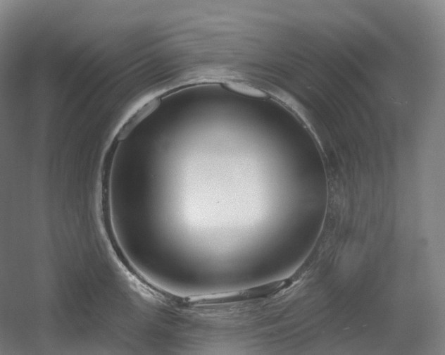 X0000054361147200508051522
