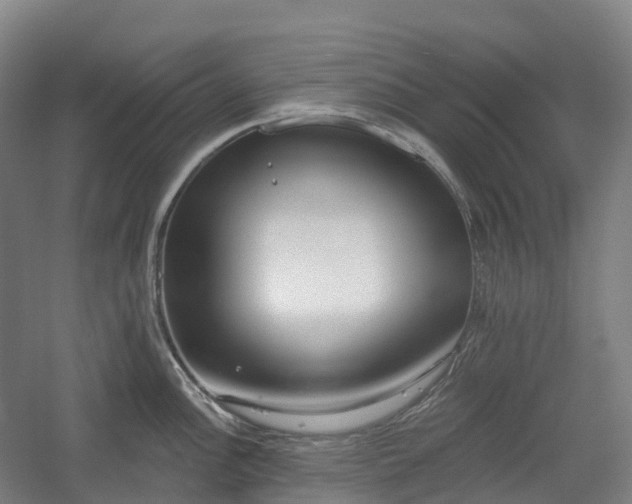 X0000054361148200508051522
