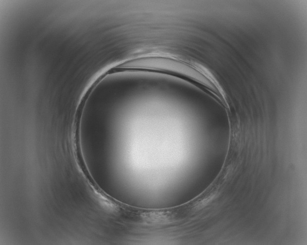 X0000054361149200508051522