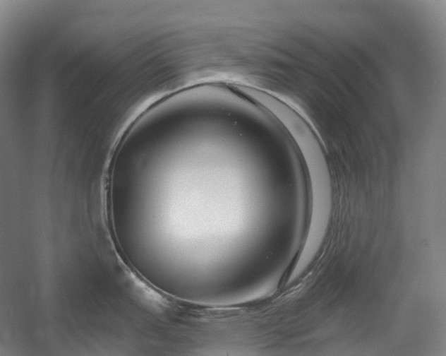 X0000054361151200508051522