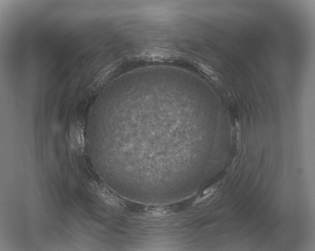 X0000054361155200508051522