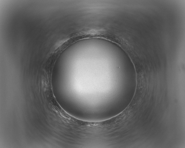 X0000054361158200508051521