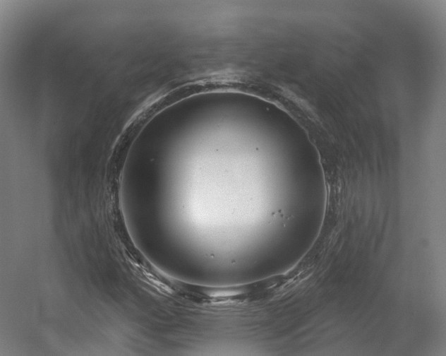 X0000054361160200508051521
