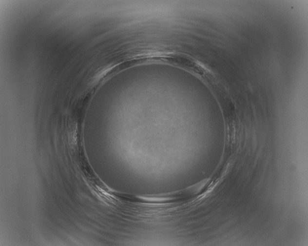 X0000054361161200508051521