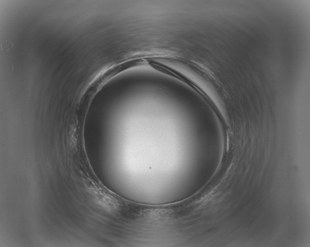 X0000054361163200508051521
