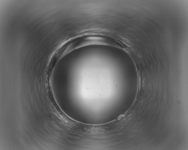 X0000054361164200508051521