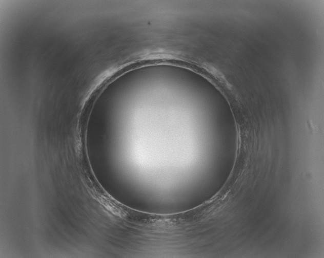 X0000054361167200508051521