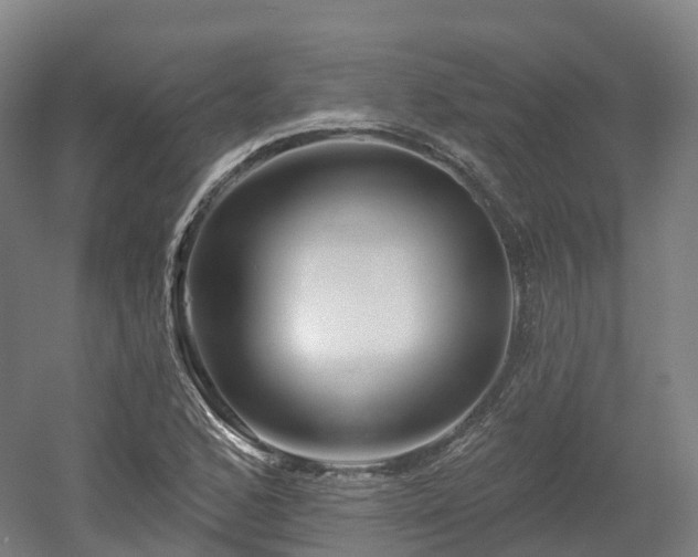 X0000054361168200508051521