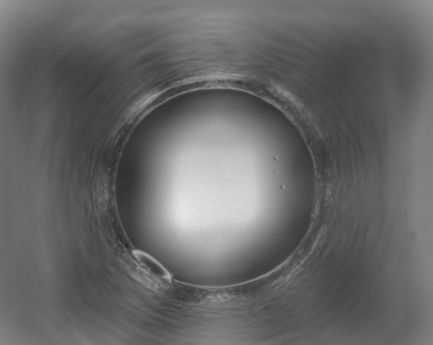 X0000054361169200508051521