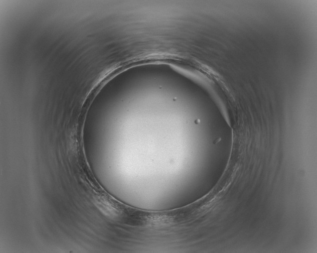 X0000054361170200508051521